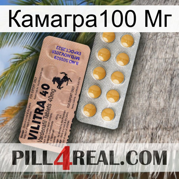 Камагра100 Мг 41.jpg